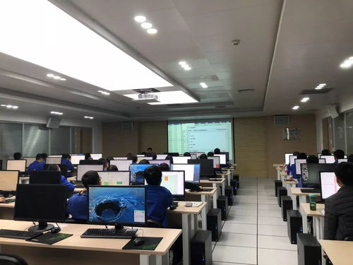 集團舉辦青工常用辦公軟件技能提升培訓與技術比武，賦能軟件技術開發(fā)人才成長